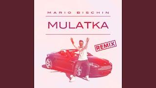 Mulatka (DJ Sequence Remix Radio Edit)