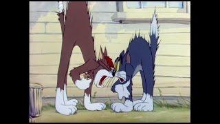 Tom & Jerry VS System of a Down (by Freeman-47)