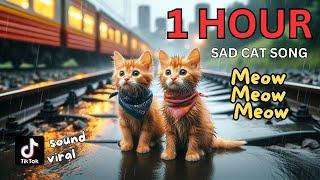 Meow Meow Meow Sad Song 1 Hour Compilation #cat #cute #catlover #cutecat #aicat #meow