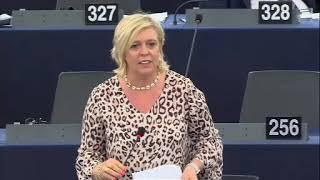 Hilde Vautmans 17 Jul 2019 plenary speech on Humanitarian assistance in the Mediterranean