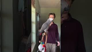Talking Parrot's Learning Colors 
