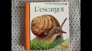 ⭐️L'escargot - (extrait) livre documentaire - mes premières découvertes - Gallimard jeunesse