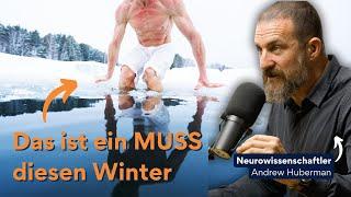 Eisbaden: Was steckt wirklich hinter dem Trend? (Dr. Huberman klärt auf)