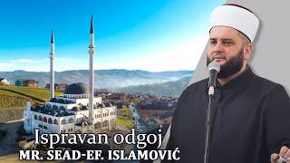 Posrtanje i popuštanje u vjeri - mr. Sead-Ef. Islamović