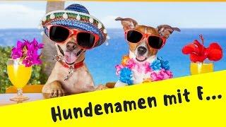 Hundenamen mit F  Tipp vom Hundefreund