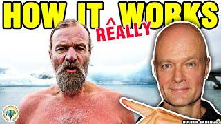 What Happens During Wim Hof Breathing?