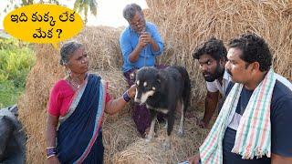 గంగవ్వ 31st దావత్ | Currry Confusion | Gangavva 31st Daawath | My Village Show Comedy