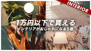 1万円以下で買えるインテリアがおしゃれになるアイテム5選