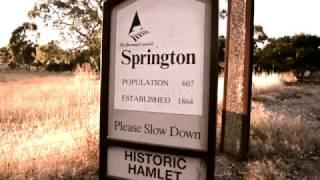 Springton