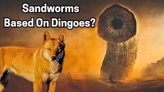 Striking Parallels Between Dune’s Sandworms & Australian Dingoes