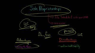 Sole Proprietorships | Advantages and Disadvantages