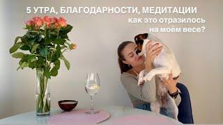 -23 кг | МОЙ ОПЫТ диет, пп и подсчёта калорий