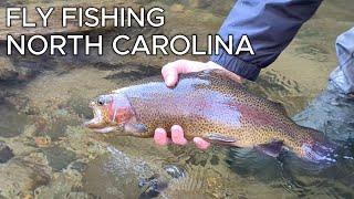 Catching Big Trout on the Nantahala River || Fly Fishing Western North Carolina