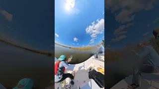 Sight fishing BLACK 