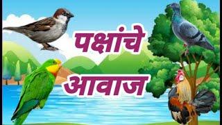 Pakshanche Aawaj. पक्षांचे आवाज. विविध पक्षांचे आवाज  आवाजासहित. Birds  sound with Sound effects.