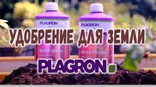 Удобрение Plagron Terra Grow для роста и Bloom для цветения