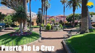 A walk along Calle Quintana, Plaza de la Iglesia and Plaza del Charco in Puerto de la Cruz, Tenerife