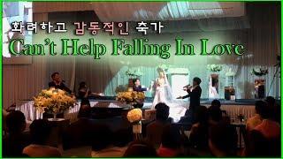 Can't Help Falling In Love 부산울산 결혼식축가