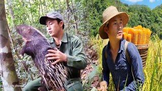 The life of mountain people is to farm garden and trap wild animals for food part 122