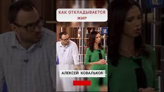 #Shorts TikTok Как откладывается жир в организме??