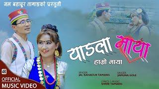 Yangla Maya (Hamro Maya ) Selo Song by Jal Bahadur Tamang || Jamuna Gole | Shree Tamang  2077 / 2021