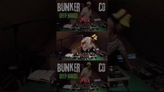 Deep House CD Mix — live-mixed on 20-year-old CDJ 200. Ideal for a chill party or productive work:)