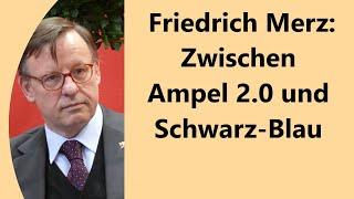 Haltung zu Grünen zerreißt Christdemokraten - Wie will Merz so Wahlkampf machen?