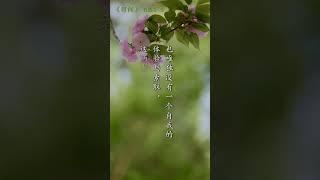 这个就是真正的修行者