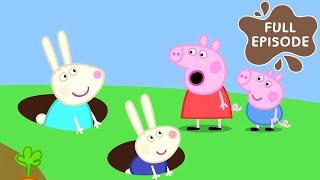 Peppa Pig Meets Rebecca Rabbit! | Story for Kids | Kids Cartoons | Peppa Pig Videos