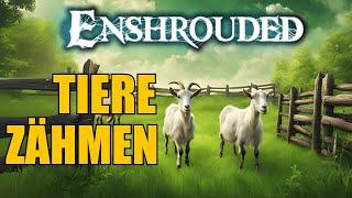 So ZÄHMST du TIERE in Enshrouded!