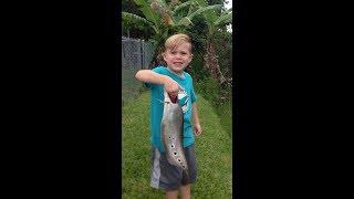 TJ Adventures: Tommy catches an exotic Clown Knife Fish