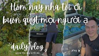 Daily Vlog 5- Hôm nay nhà tôi đi buôn quýt mọi người ạ, lỗ nhưng mà vui