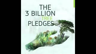 The 3 Billion Trees Pledge