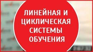 Линейная и циклическая система