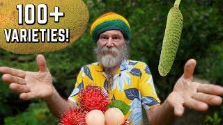 RARE Exotic Fruit Farm Hideaway in Jamaica!