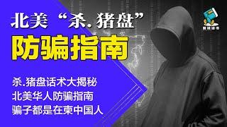 “杀.猪盘”话术大揭秘，北美华人防骗指南！骗子都是在柬中国人 | 北美“杀.猪盘”防骗指南-明镜读书（梁峻）