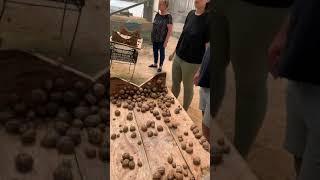 Portugal Snail Farm Tour