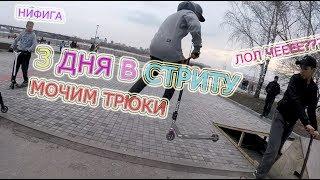 3 ПРОГРЕССИВНЫХ ДНЯ В СТРИТУ // AkrusTV