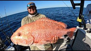 ONE HOUR Uncut American Red Snapper Fishing at Pulley Ridge!! *Catch, Clean & Cook*