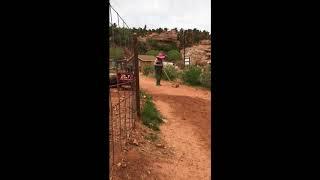 Savvy Squirrel Learns Clicker Training