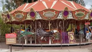 Carousel at Phoenix Zoo