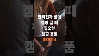 반려견 동반 캠핑 추천템 BEST4 #shorts