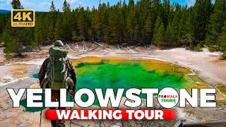 Yellowstone National Park Tour: Norris Geyser Basin  | 4K60fps