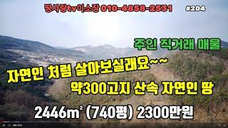 안동 해발 300고지 산속 자연인 땅 740평 2300만원