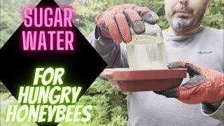 Sugar water for starving bees [Our honeybees are in trouble!]