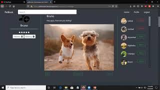 PetBook - Social network for pets | Software Engineering Course's Full Stack Project