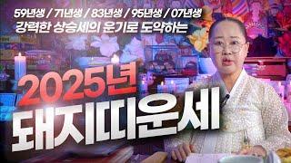 돼지띠 내년 강력하게 솟아오른다 l 2025년 돼지띠운세 #녹수부인당 #돼지띠운세 #대박나는띠 #띠별운세 #2025년운세 #띠운세 (녹수부인당,010-2974-8999)