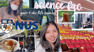 study with me at nus science faculty (tour) vlog | year 1 life sciences