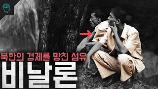 북한의 경제가 망한 이유 주체 섬유 비날론