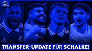 Transfer-Update Schalke: So steht es um Sylla, Hoffmann, Neuzugänge, Ausleihen & mehr!